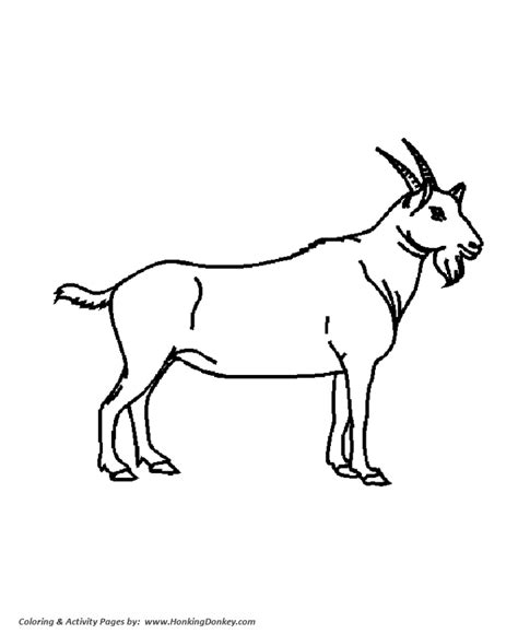 wild animal coloring pages big goat coloring page  kids activity