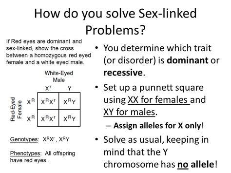 how to do a sex linked punnett square nishiohmiya golf