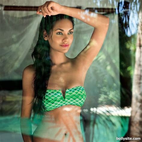 indian sexy esha gupta hot bikini photos hot videos and sexy photos