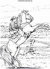 Cavalli Colorare sketch template