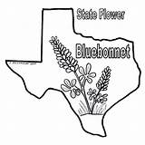 Texas Coloring Bluebonnet Pages Bluebonnets Sheets Longhorn Color Print Flag Book Bob Drawings State Printable Drawing Blue Sheet Symbols Line sketch template