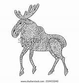 Coloring Elk Adult Zentangle Stress Therapy Anti Doodle Vector Baikal Illustration Style Shutterstock Geometric Monochrome Isolated Sketch Pattern Background Footage sketch template