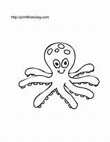 Octopus Pages Pieuvre Coloriage Boyama Denizde Hayvanlar Coloringhome Sayfalar Coloriages sketch template