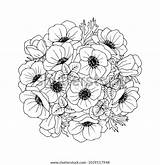 Vector Coloring Bouquet Flower Anemones Book sketch template