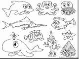 Marine Coloring Pages Space Getcolorings sketch template