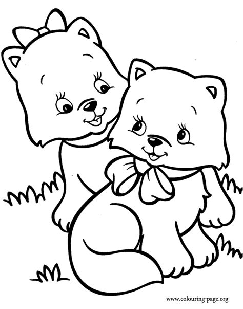 cats  kittens  cute kittens     coloring page