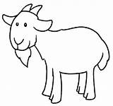 Goats Mewarnai Kambing sketch template