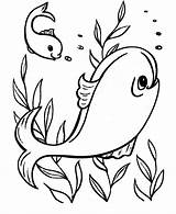 Coloring Pages Fish Cute Comments sketch template