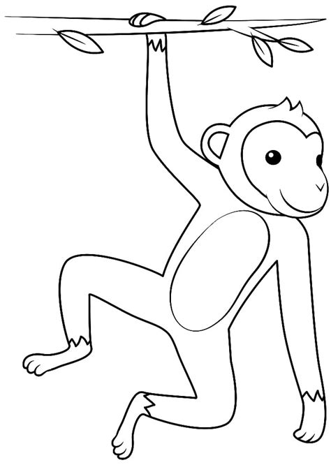 hanging monkey coloring page  printable coloring pages  kids