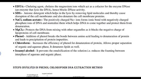 Phenol Chloroform Dna Extraction Method Youtube
