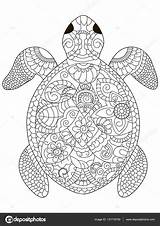 Tortue Volwassenen Kleurplaten Mer Adulte Adultes Stress Zeeschildpad Stockillustratie Schildkröte Erwachsene Mandalas Antistress Zentangle sketch template