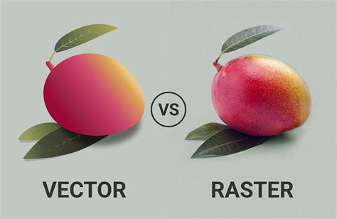 vector  raster graphics whats  difference