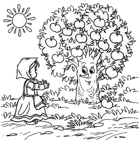 apple tree  nature  printable coloring pages
