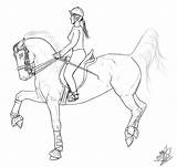 Horse Riding Rider Drawing Lines Deviantart Line Getdrawings Templates sketch template
