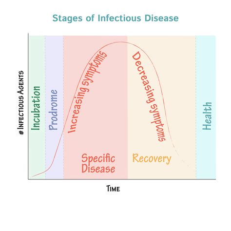 immunologymicrobiology glossary stages  infectious disease draw