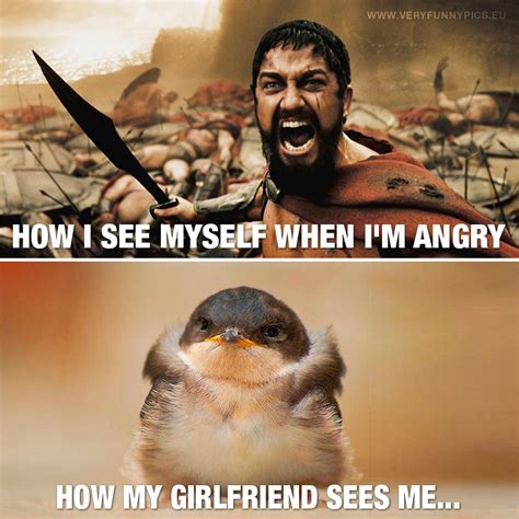 anger   matter  perspective  funny pics