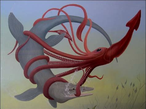 giant squid  megalodon
