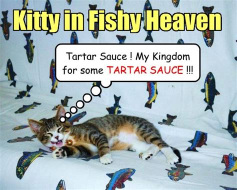 the tartar sauce dream lolcats lol cat memes funny