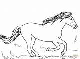Mustang Horse Coloring Pages Horses Wild Running Beautiful Color Print Trailer Drawing Stallion Pinto Getdrawings Printable sketch template