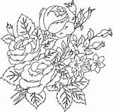 Roses Rosas Naturaleza Colorear Coloriages Passatempo Colouring Cloverbud Album Engraving Getcolorings Shee sketch template