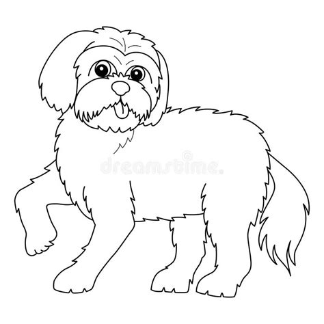 maltese dog isolated coloring page  kids stock vector illustration