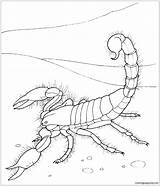Desert Coloring Pages Scorpion Animals Printable Giant Kids Color Ldshadowlady Sheets Supercoloring Scorpions Print Fox Adults Template Drawing Colorir Para sketch template