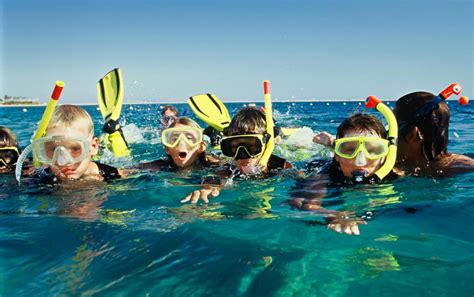 marine park snorkeling adventure  cozumel pro dive international