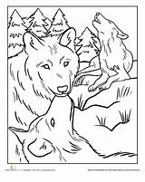 Howling Drawings Horse sketch template