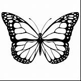 Butterfly Blue Morpho Drawing Coloring Getdrawings sketch template