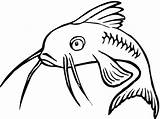 Pesce Gatto Peixe Imprimir Pez Pesci Colorir Caricatura Catfish Stampare sketch template
