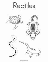 Reptiles Coloring Reptile Pages Preschool Amphibians Choose Board Print sketch template
