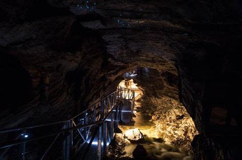 te anau glow worm caves   te anau  queenstown tripadvisor cave tours glow worm