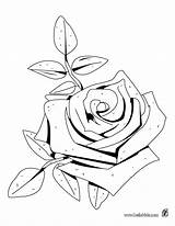 Colorear Dibujos Para Rosas Rose Coloring Libellule Pages Dessin American Beauty Pintar Flores Imprimir Rosa Imagenes Coloriage Dibujo Hellokids Flower sketch template