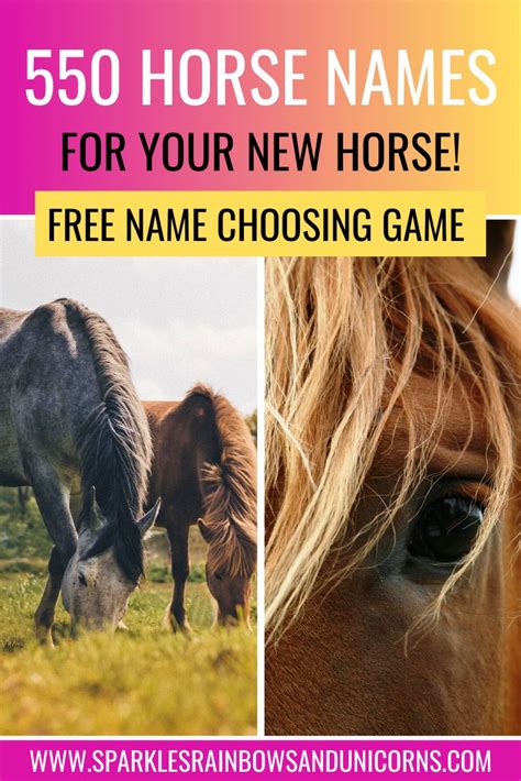 horse names    horse  horse names funny horse