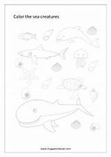 Coloring Animals Miscellaneous Pages Sea Sheets Sheet Megaworkbook Birds Animal Water sketch template