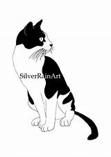 Tuxedo Cat Prints sketch template