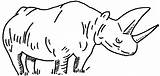 Rhino Coloring Pages sketch template