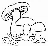 Coloring Pages Mushrooms Mushroom Animated Picgifs Per Greeting Pintar Do Coloringpages1001 sketch template