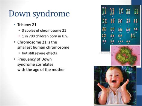 ppt errors of meiosis chromosomal abnormalities powerpoint