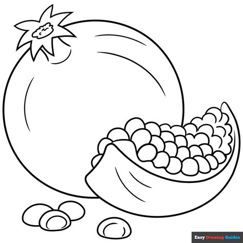 pomegranate coloring page easy drawing guides