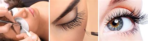 eyelash extensions elysian salon spa