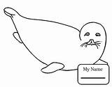 Seal Coloring Pages Navy Harp Seals Getdrawings Getcolorings Colorings Color sketch template