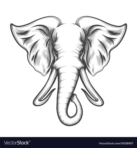 elephant head  engraving style royalty  vector image