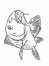 Carp Coloring Pages Fish Designlooter 82kb 1000px Template Recommended sketch template