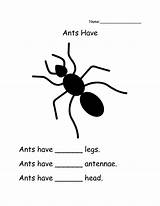 Ant Worksheets Printable Worksheet Ants Letter Preschoolers Worksheeto Preschool Printables Via Spelling sketch template