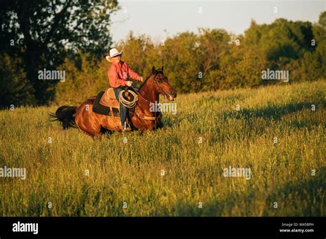 riding horse casual boy  res stock photography  images alamy