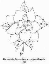 Blossom Coloringhome Bestcoloringpagesforkids sketch template