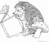 Coloring Pages Hedgehog Hedgehogs Colouring Book Printable Adult sketch template
