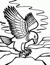 Coloring Pages Bird Eagle Printable Color Birds Bald sketch template