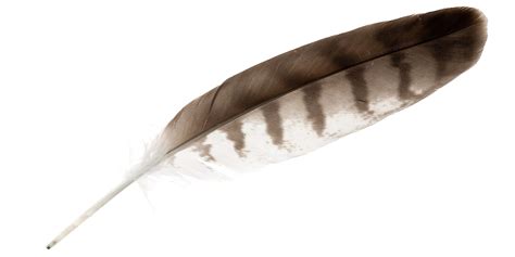 court oaths  eagle feathers  permitted  aboriginals  ottawa